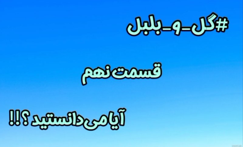 گل و بلبل (قسمت نهم)