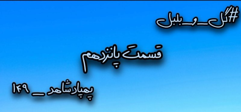 گل و بلبل (قسمت پانزدهم)