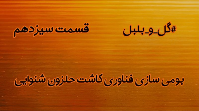 گل و بلبل (قسمت سیزدهم)