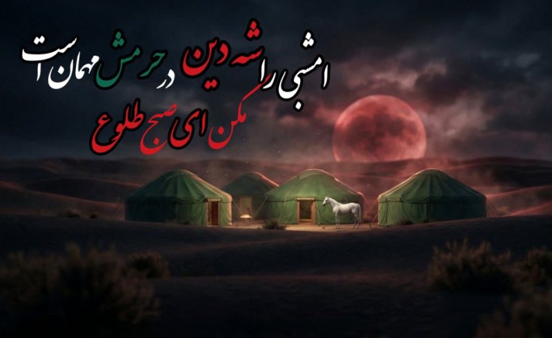 امشبی را شه دین در حرمش مهمان است
