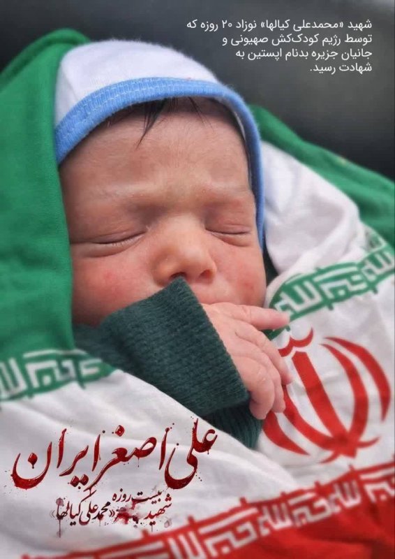 #شـهیدانـہ🕊️