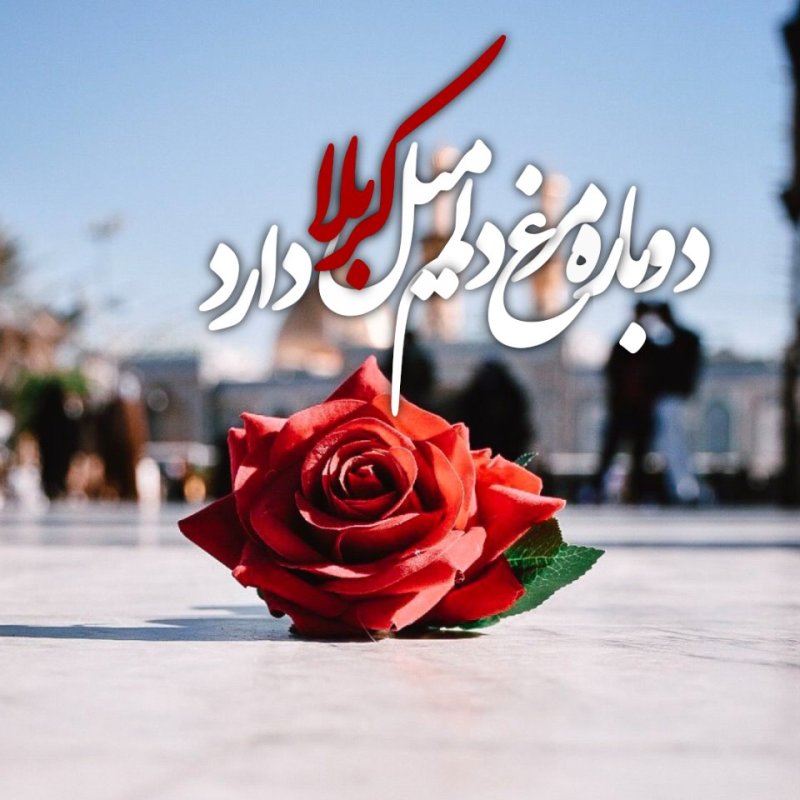 دوباره مرغ دلم میل کربلا دارد ...
