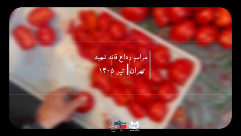 موکب ساری