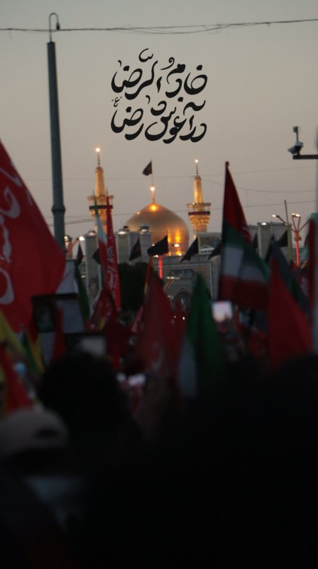 در آغوش امام رضا