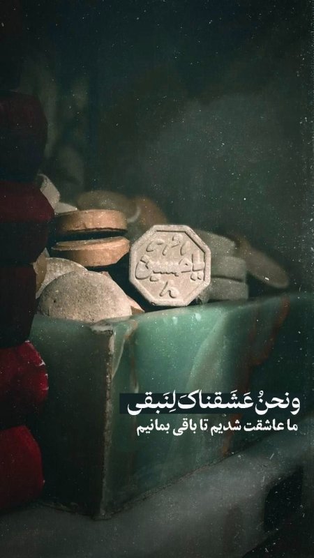 ما عاشقت شدیم تا باقی بمانیم ...