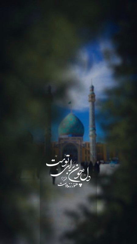 دل چون برای توست،هنوز زنده است