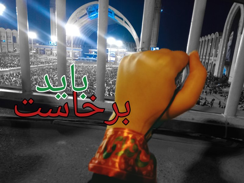 ممنون رهبر شهیدم