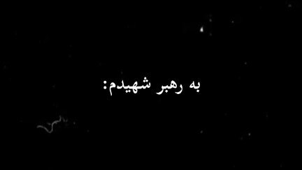 سخنی با رهبر شهیدم