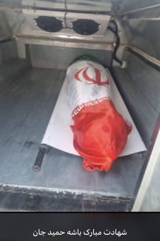 شهید حمید رضا دهقان