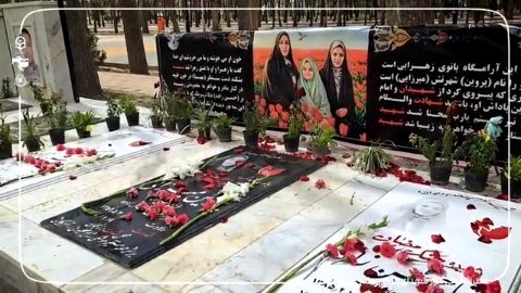 هم قدم ۳