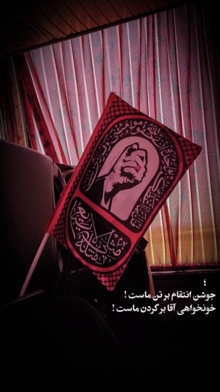 جوشن انتقام بر تن ماست !خونخواهی آقا بر گردن ماست!