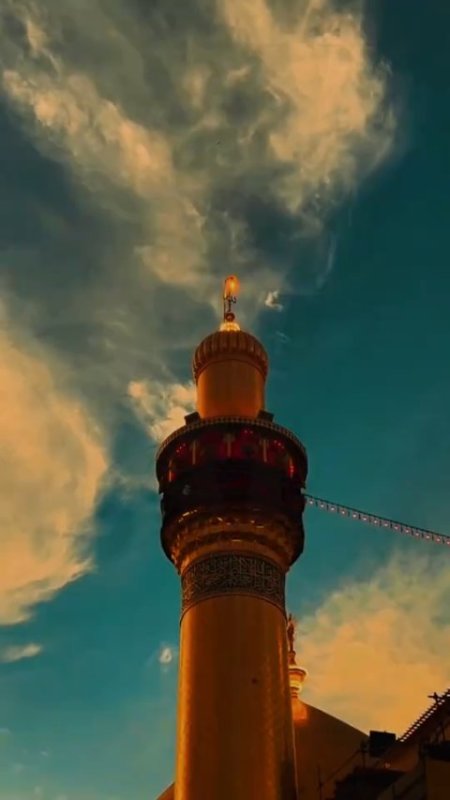 صحرا همه گلگون شده