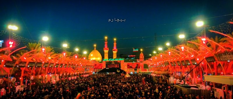 بیچارم کرده کربلا ...💔