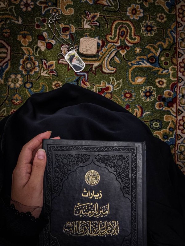 نحن شیعه علی 🤍🖐🏻 . ‌. به جز تلخی و زشتی هیچ در دنیا نمیدیدم  نجف من را مواجه کرد با دنیای زیبایی ..✨️