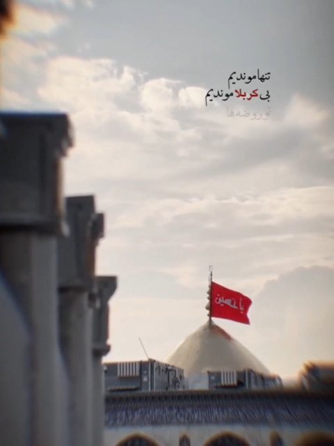 دیدی آقا اربعین جا موندیم💔