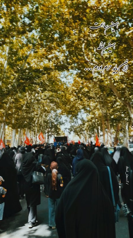 شرح حال جامانده اربعین