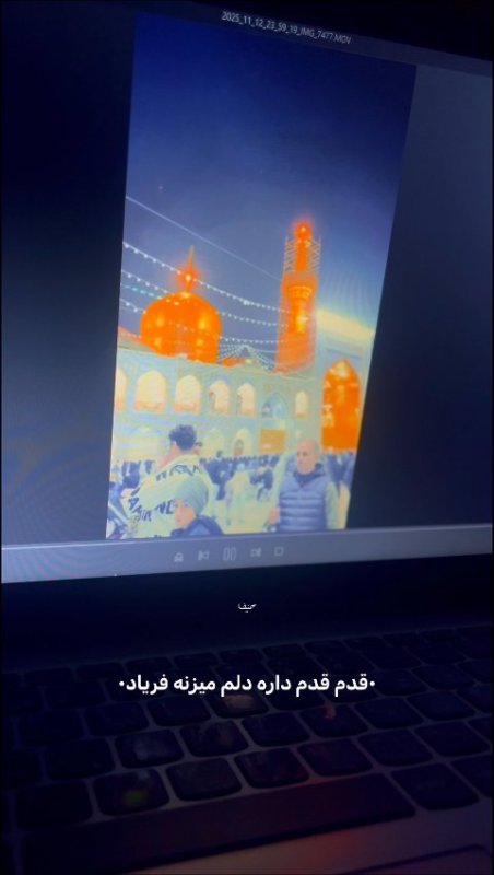 هرچی که دارم و امام رضا به من داد .