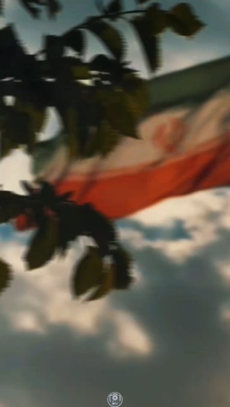 وطن