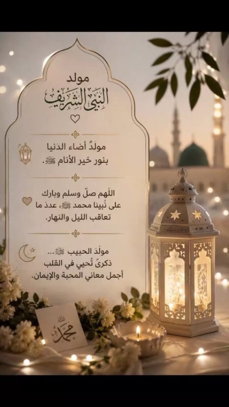 مولود نبی🌱