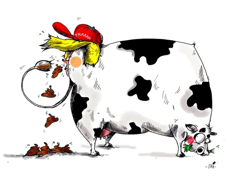 گاو شیر ده