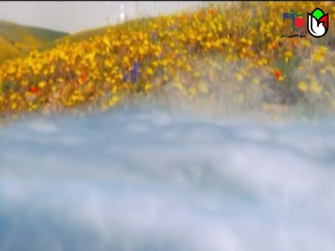 موشن گرافیک شهید بهزاد فرامون