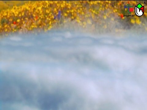موشن گرافیک شهید مهدی مرادی