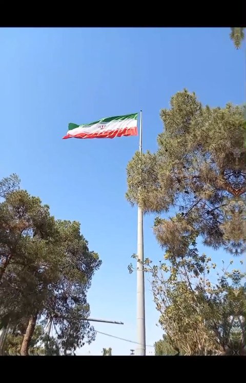 وطن