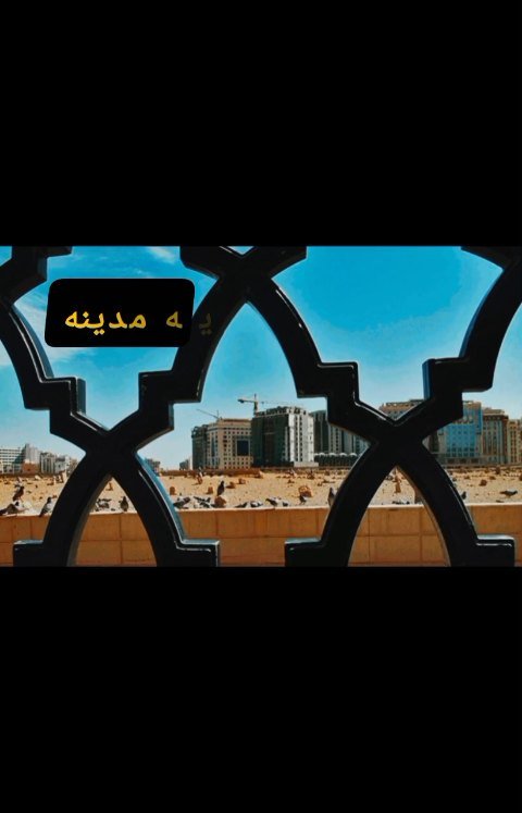 شهادت امام سجاد