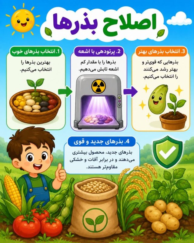 اصلاح بذرها