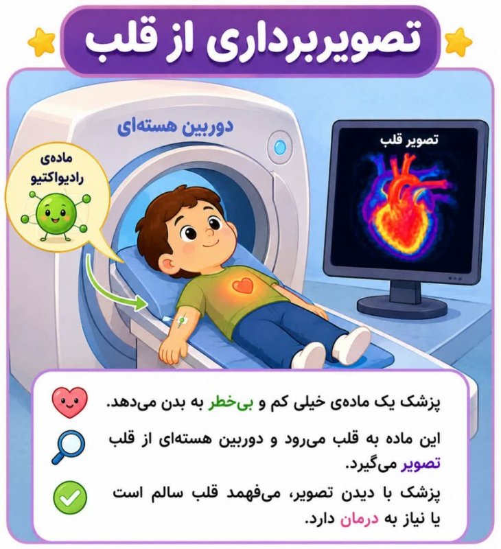 تصویر برداری از قلب