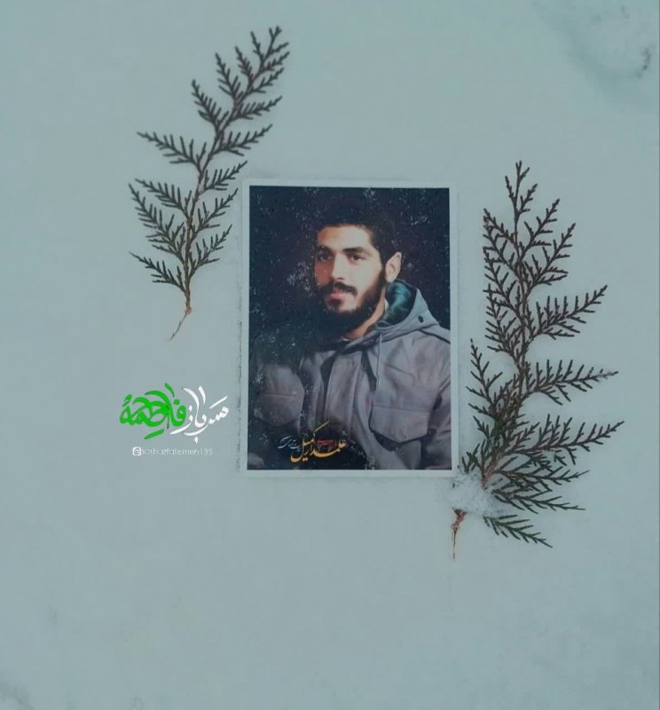 #شـهیدانـہ🕊️
