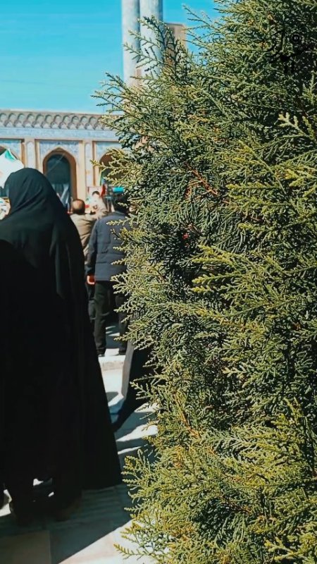 اجتماع خودجوش مردم و دانشجویان عزادار رهبر شهید