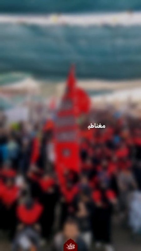 اربعین ۱۴۰۵ فارس ۱۲۴