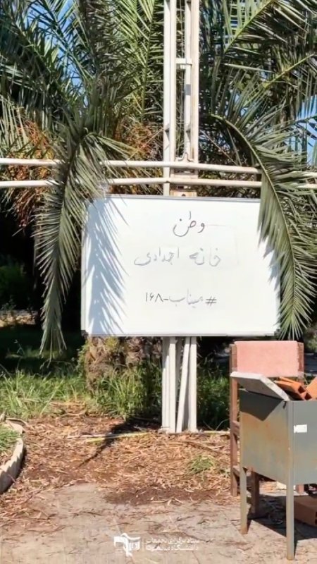 دانشگاه مبعوث