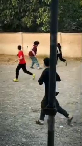ورزش