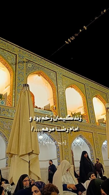 مشهد الرضا
